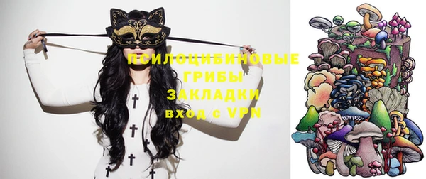 таблы Алексин