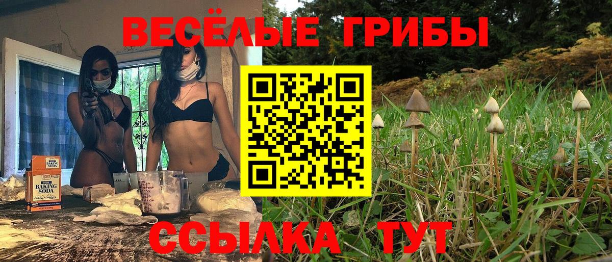 Меф кристаллы  Гашиш  Чистополь  Вход с VPN  Канабис 