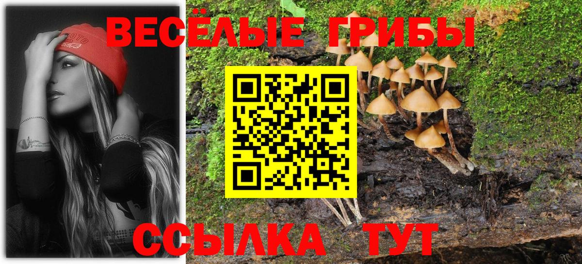 ЭКСТАЗИ Чистополь